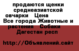 продаются щенки среднеазиатской овчарки › Цена ­ 30 000 - Все города Животные и растения » Собаки   . Дагестан респ.